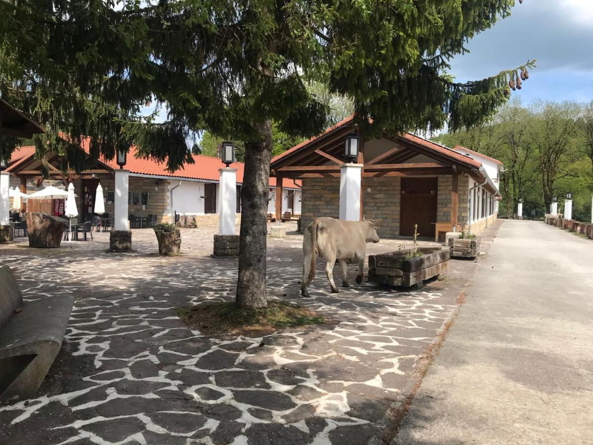 Kampaoh Sierra De Urbasa Ξενοδοχείο Bacáicoa Εξωτερικό φωτογραφία