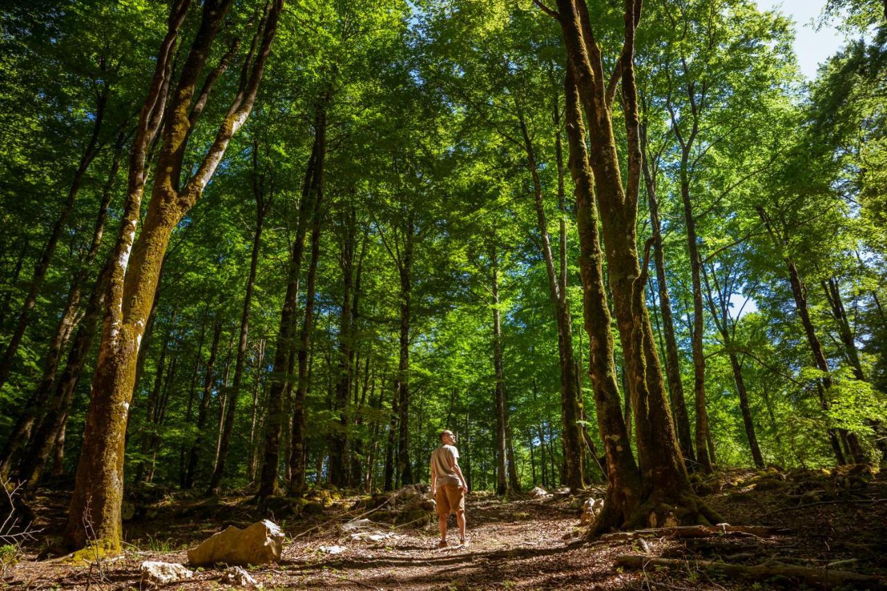 Kampaoh Sierra De Urbasa Ξενοδοχείο Bacáicoa Εξωτερικό φωτογραφία